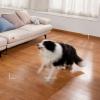 imageeufy Security Solo IndoorCam P24 4MP Pan ampamp Tilt WiFi Security Indoor Camera with Night Vision Renewed